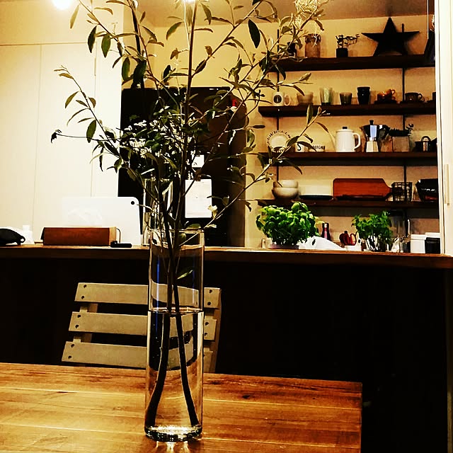 キッチン/エアープランツ/エアープランツ初心者/観葉植物/真っ白なお家...などのインテリア実例 - 2016-07-23 21:45:50