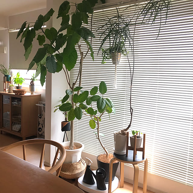 eriのtidy-tidy プランタブル・ラージ Plantable Lの家具・インテリア写真