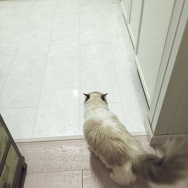 yuchiさんの実例写真