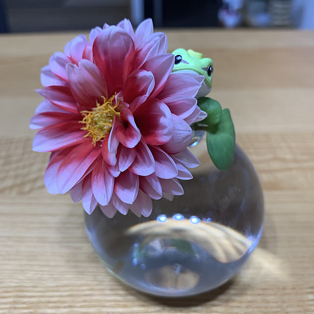 JUNさんの実例写真