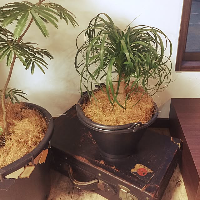 kazukuroさんの実例写真