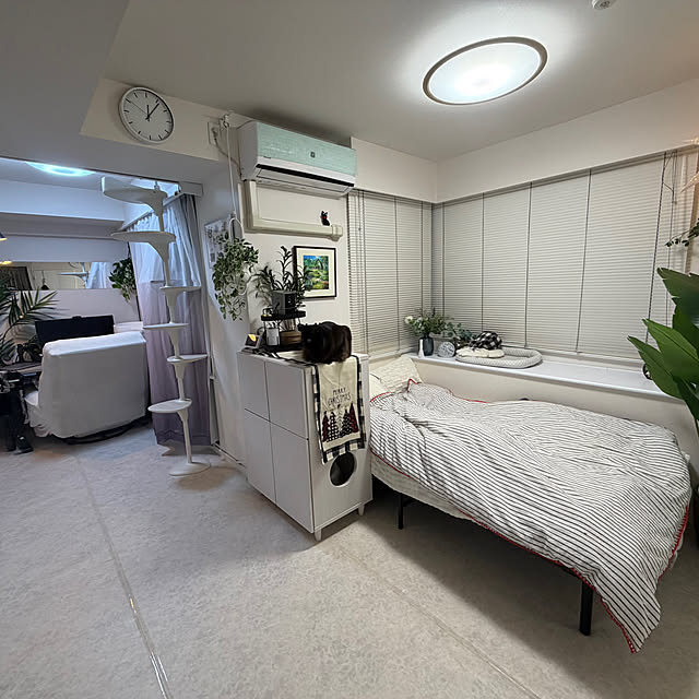 akihcclipさんの実例写真