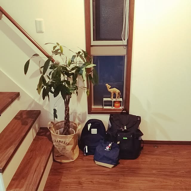 necocoさんの実例写真