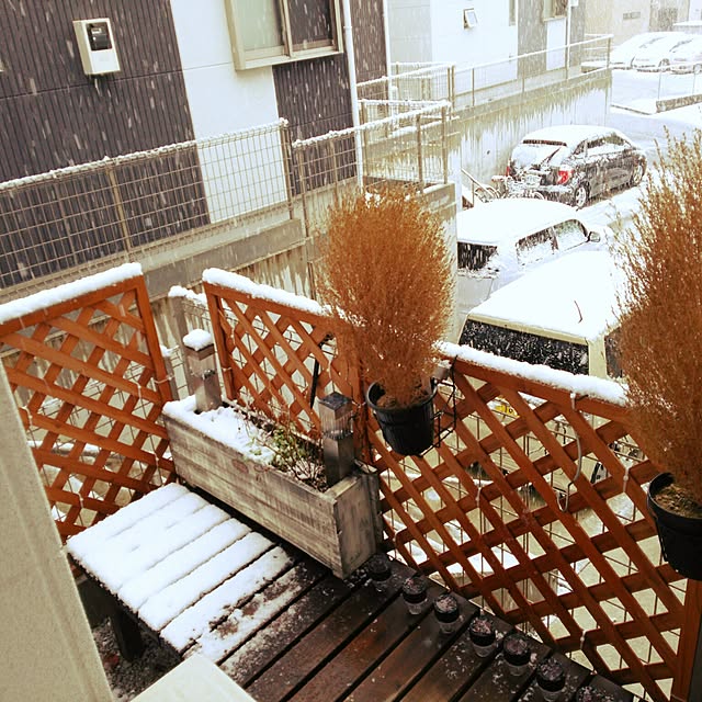 kazuさんの実例写真