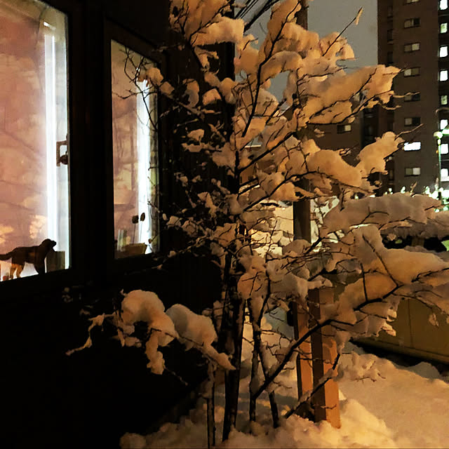 70さんの実例写真