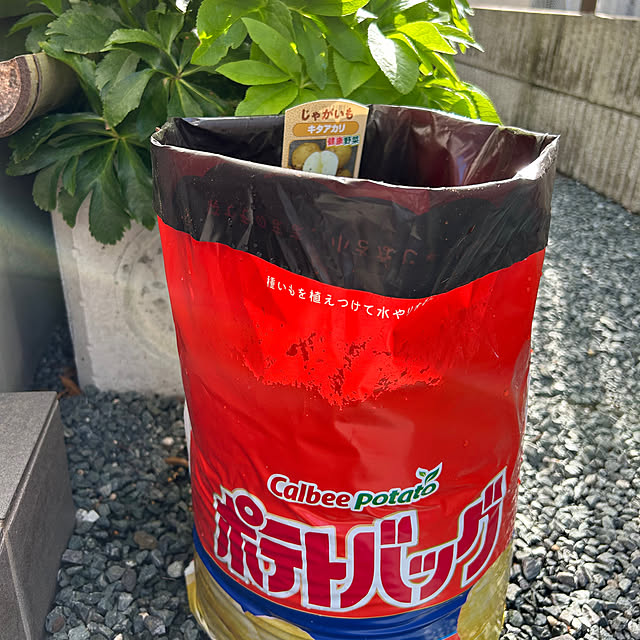 ramureさんの実例写真