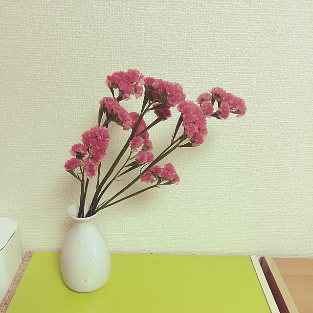 promiseさんの実例写真