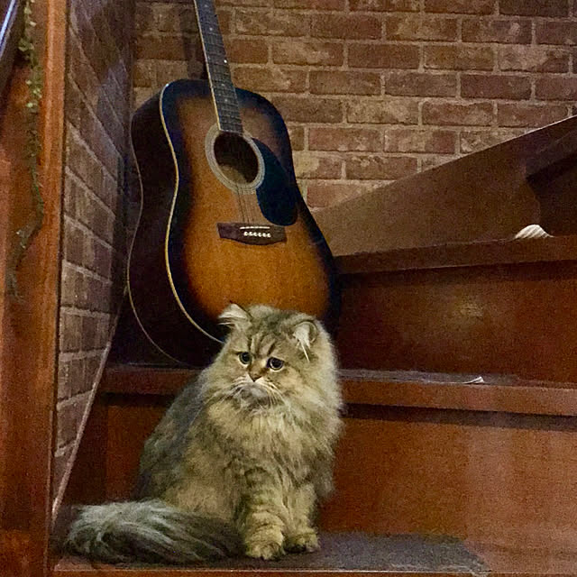 butachanさんの実例写真