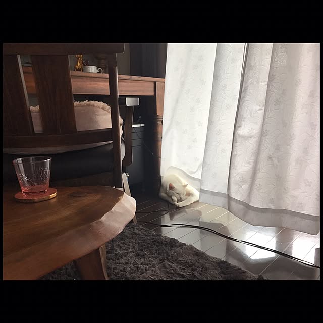ymk999さんの実例写真