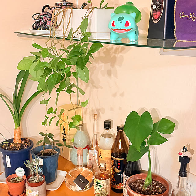 Carryさんの部屋