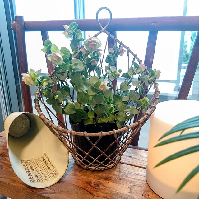 kerochanさんの部屋