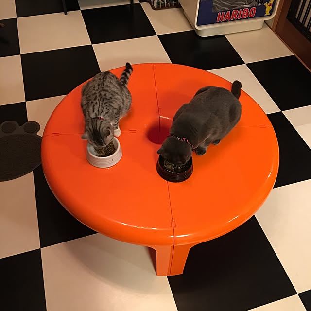 Shojiさんの実例写真