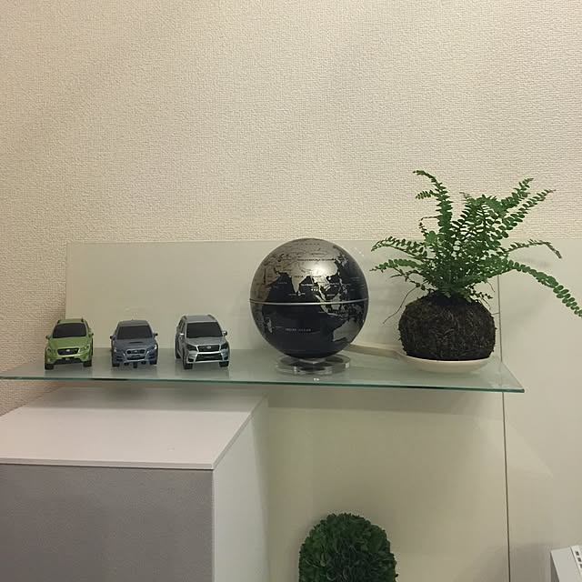 jnjnforesterさんの実例写真