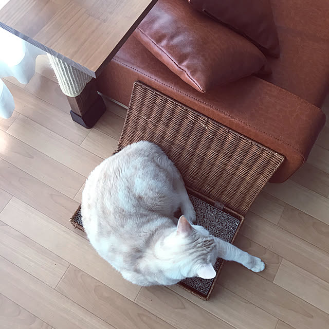 hiyupan88さんの実例写真