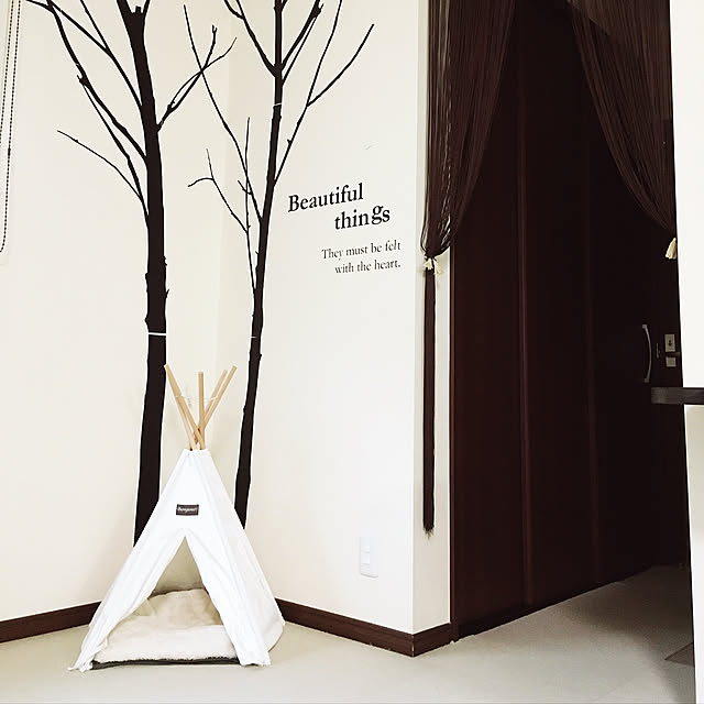 Chemy31さんの実例写真