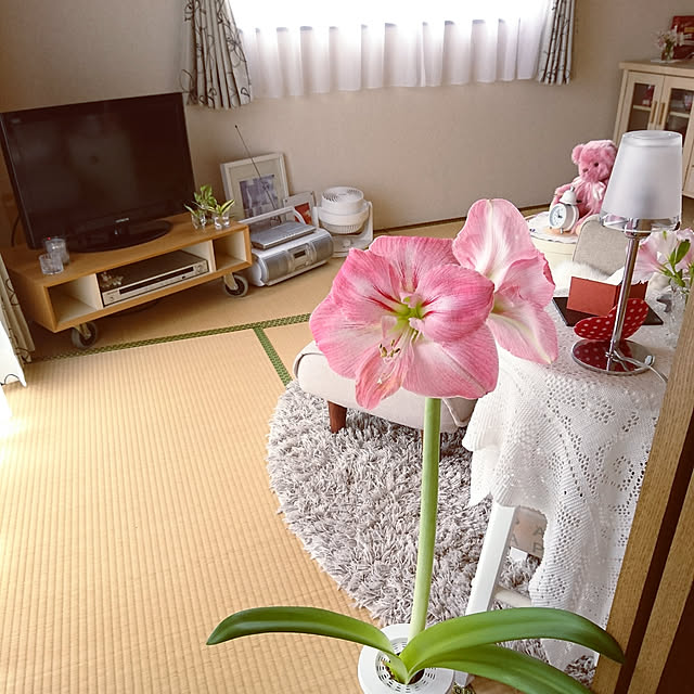 sさんの実例写真