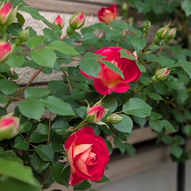 kumijiさんの部屋