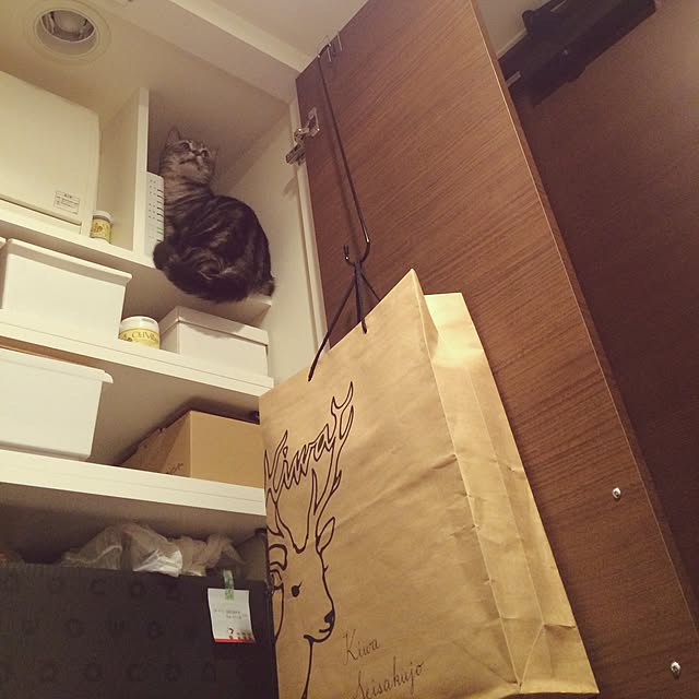 mikomaruさんの実例写真