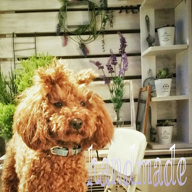 EMUさんの実例写真