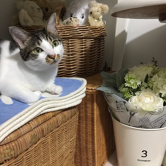 yuchiさんの実例写真