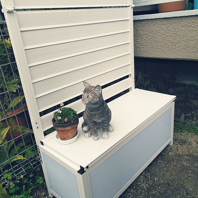 futukoさんの実例写真