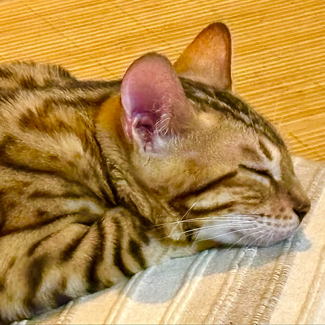tututu0204さんの部屋