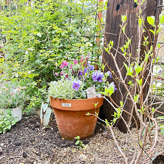 mami3さんの実例写真