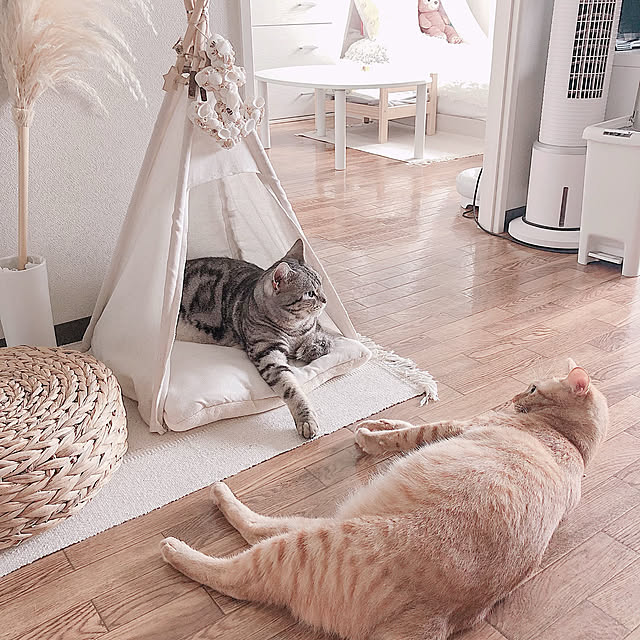 tina_sa_0さんの実例写真