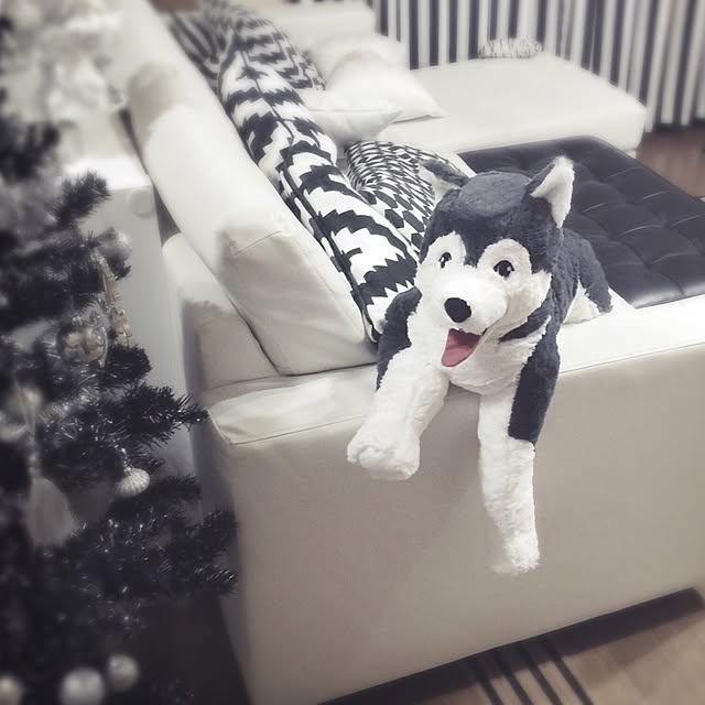 risaさんの実例写真