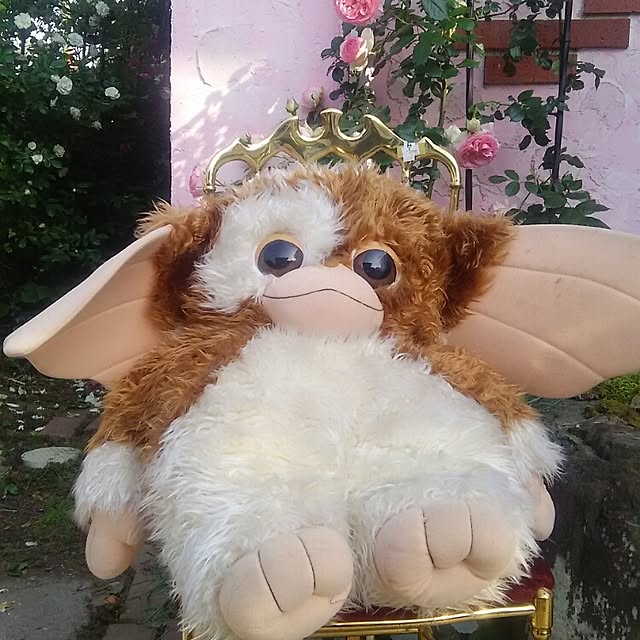 ganamiさんの実例写真