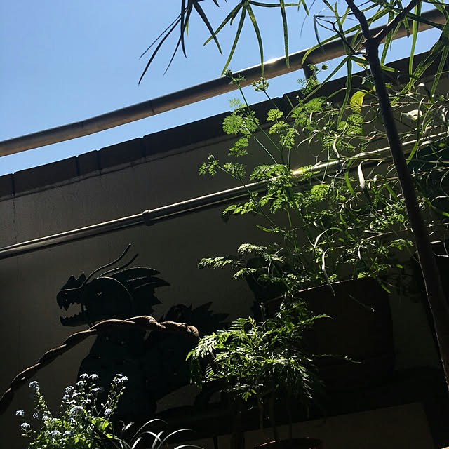 spinetailさんの実例写真