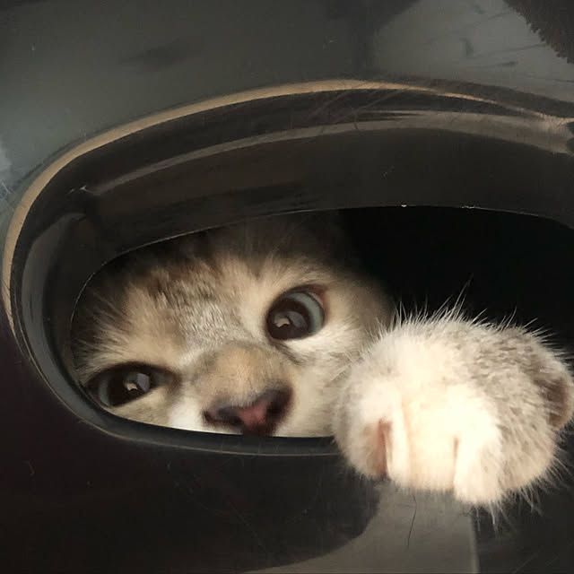 tomoyoさんの実例写真