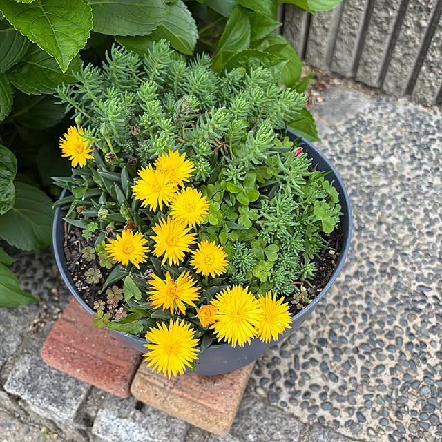 ritsukoさんの部屋