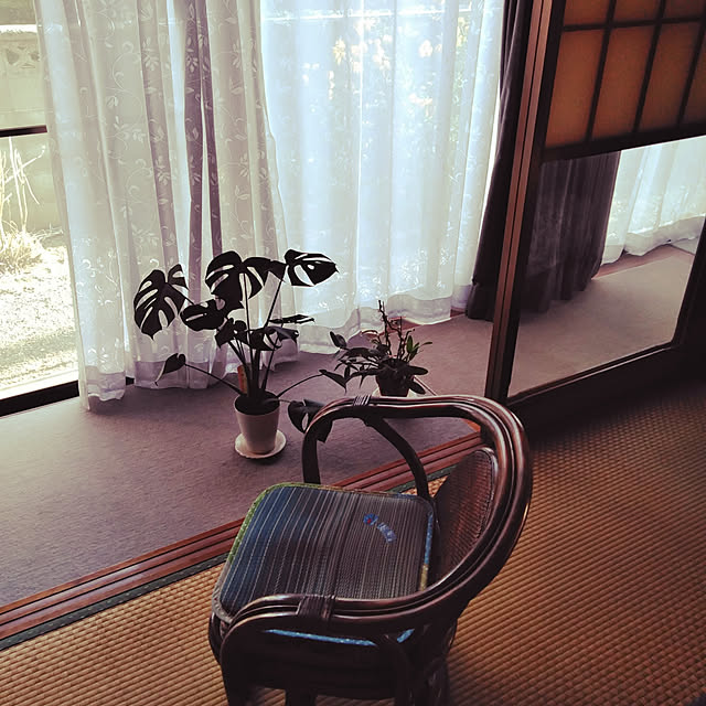hiroさんの実例写真