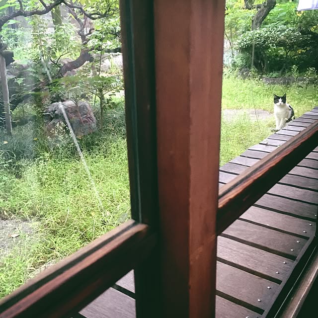 NORiさんの実例写真