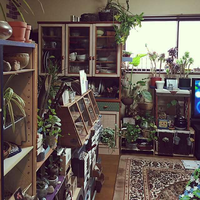 Norikoさんの実例写真