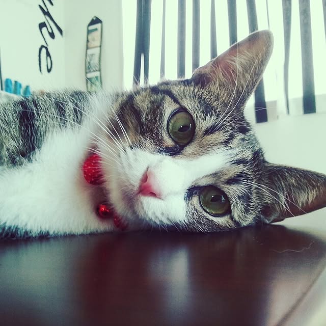 key39さんの実例写真