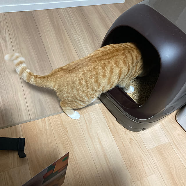 abebiさんの部屋