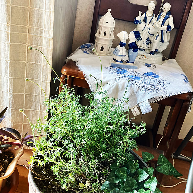 CoCo0617さんの実例写真