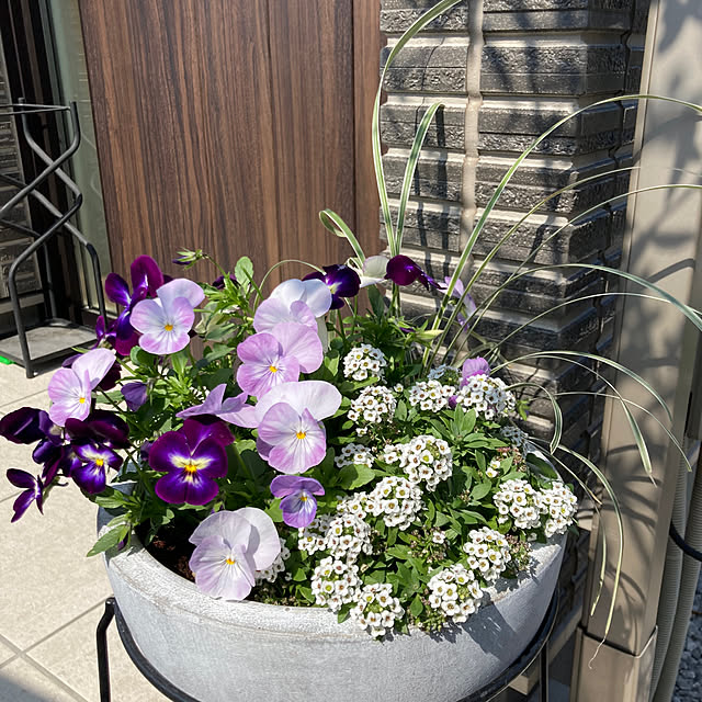 tomokokoさんの部屋