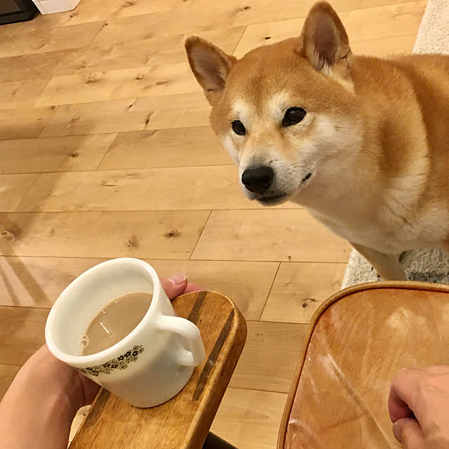 diez_taraさんの実例写真