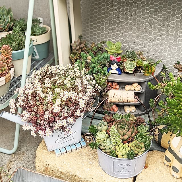 purpureさんの部屋