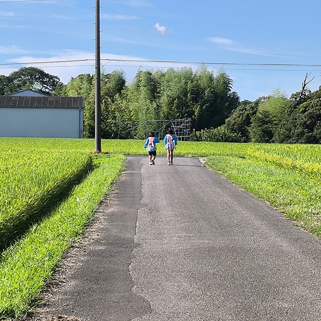 miharunさんの部屋