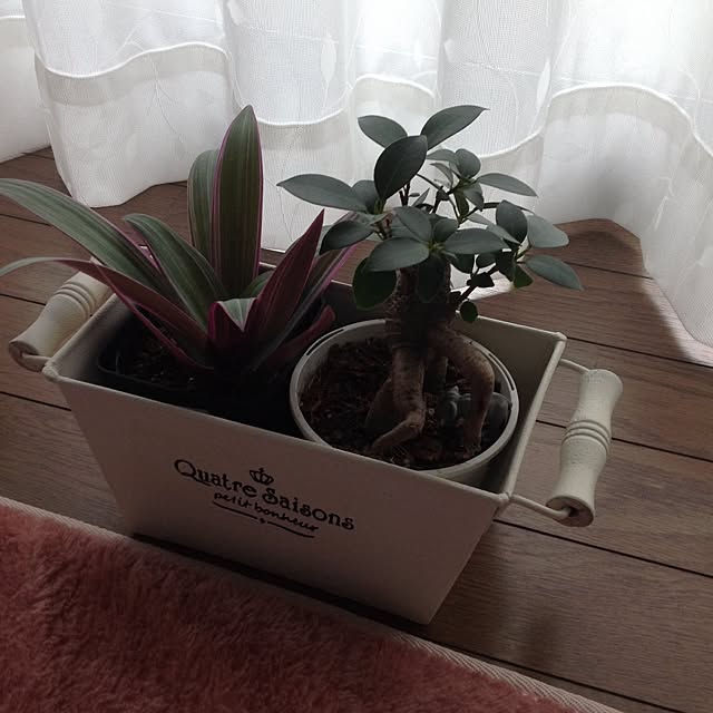 kimuさんの実例写真