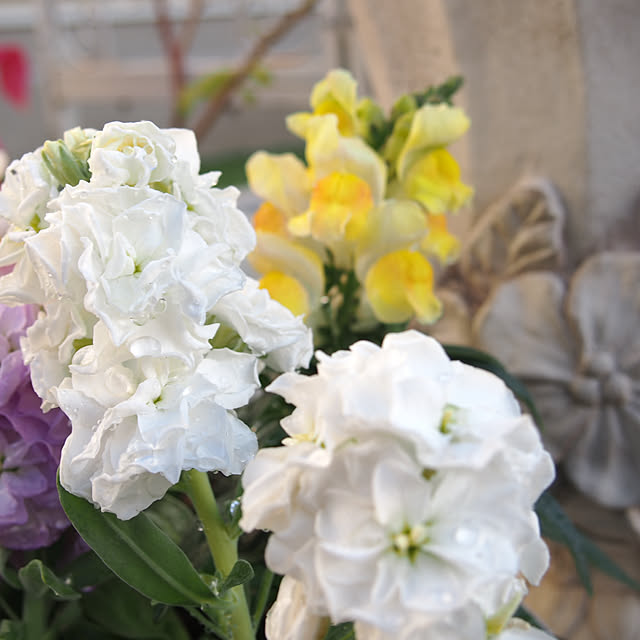 nekotaさんの部屋