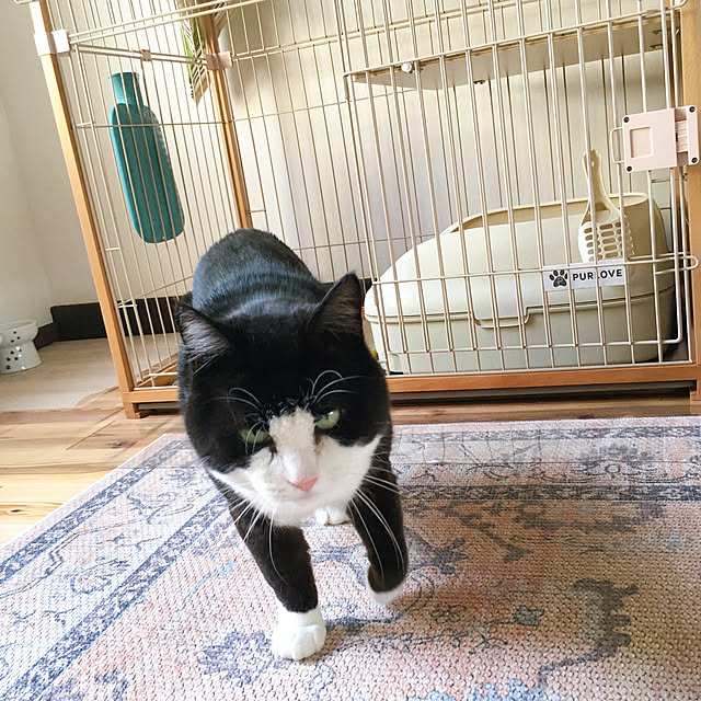 stripeblueさんの部屋