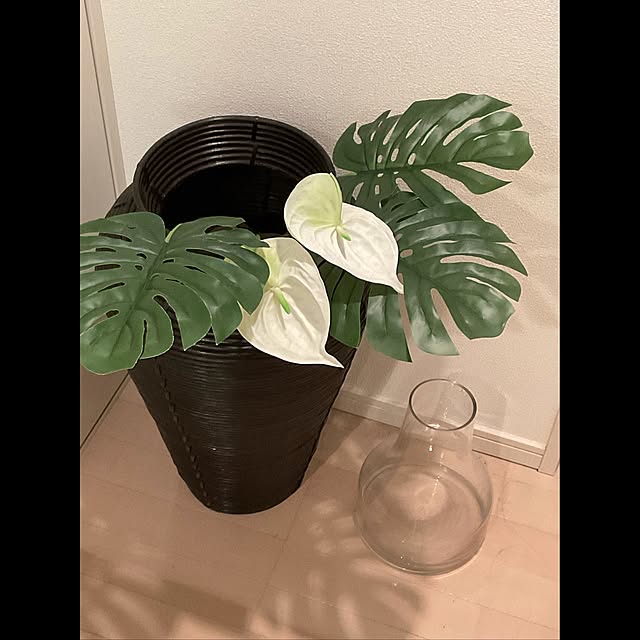 BOTANICALさんの実例写真