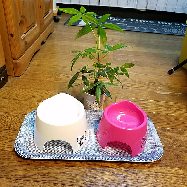 Chiさんの実例写真