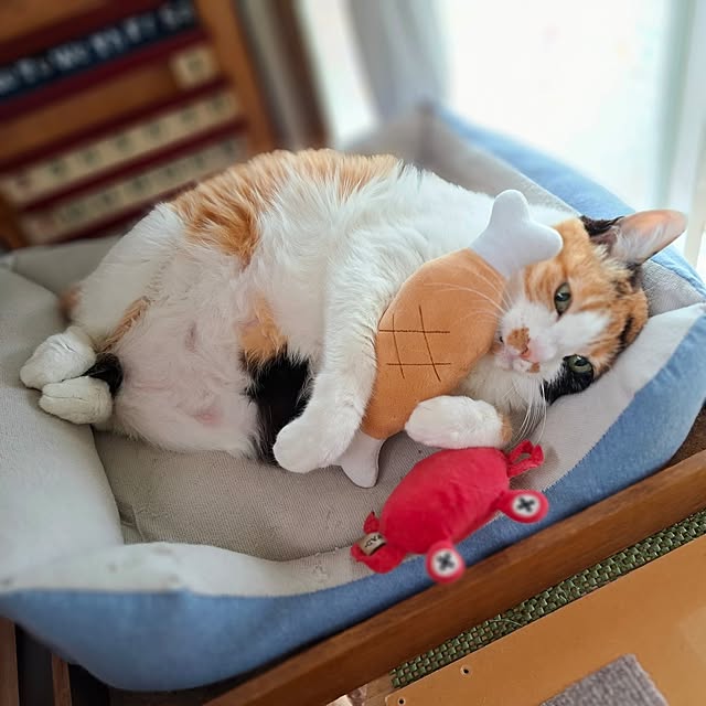 nanaさんの実例写真