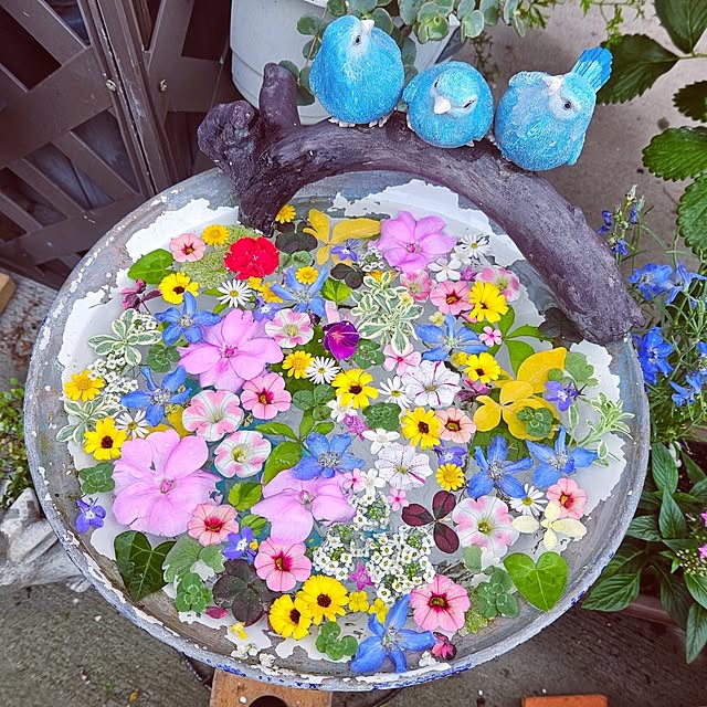 mocomocoさんの実例写真